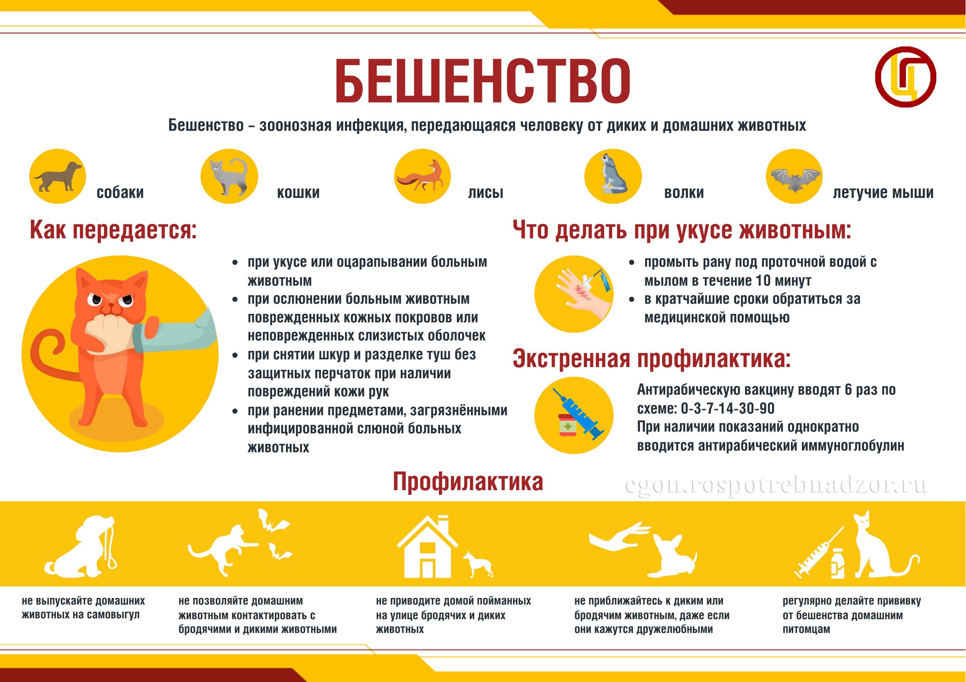 Всемирный день борьбы с бешенством.