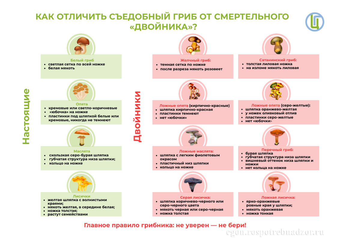 О мерах предосторожности при употреблении грибов.