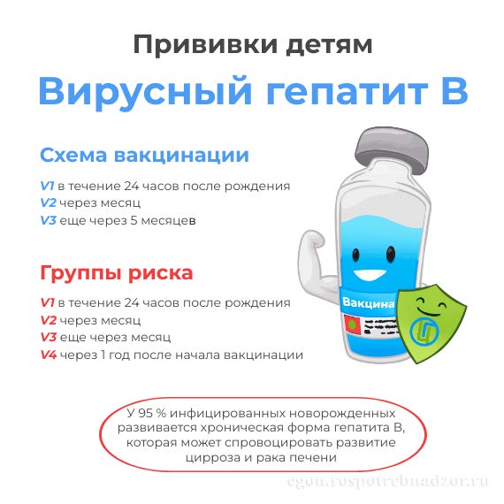 О Национальном календаре профилактических прививок.