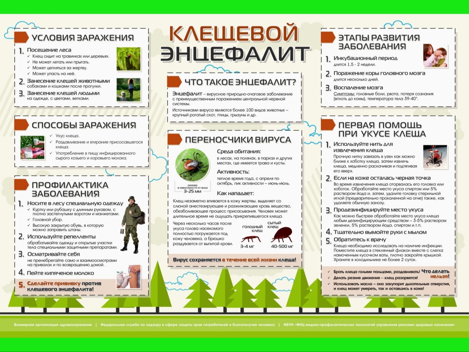 Клещевой энцефалит.