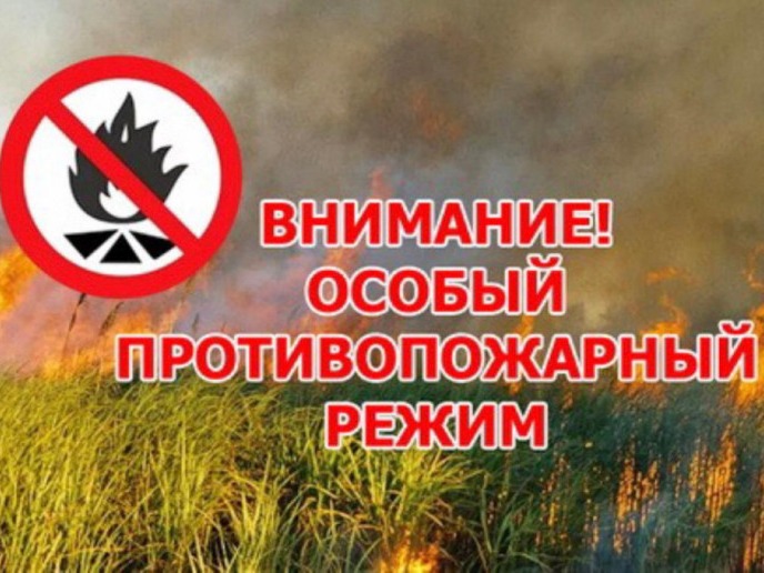В Кировской области установлен осoбый противопожарный режим.