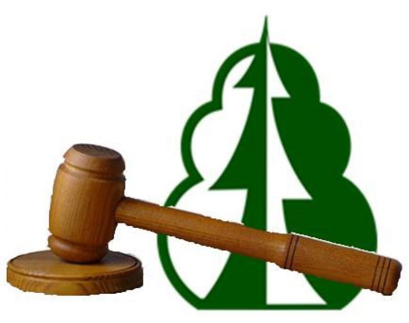 Информация  о проведении аукционов в электронном виде на право заключения договора аренды лесного участка, находящегося в государственной собственности