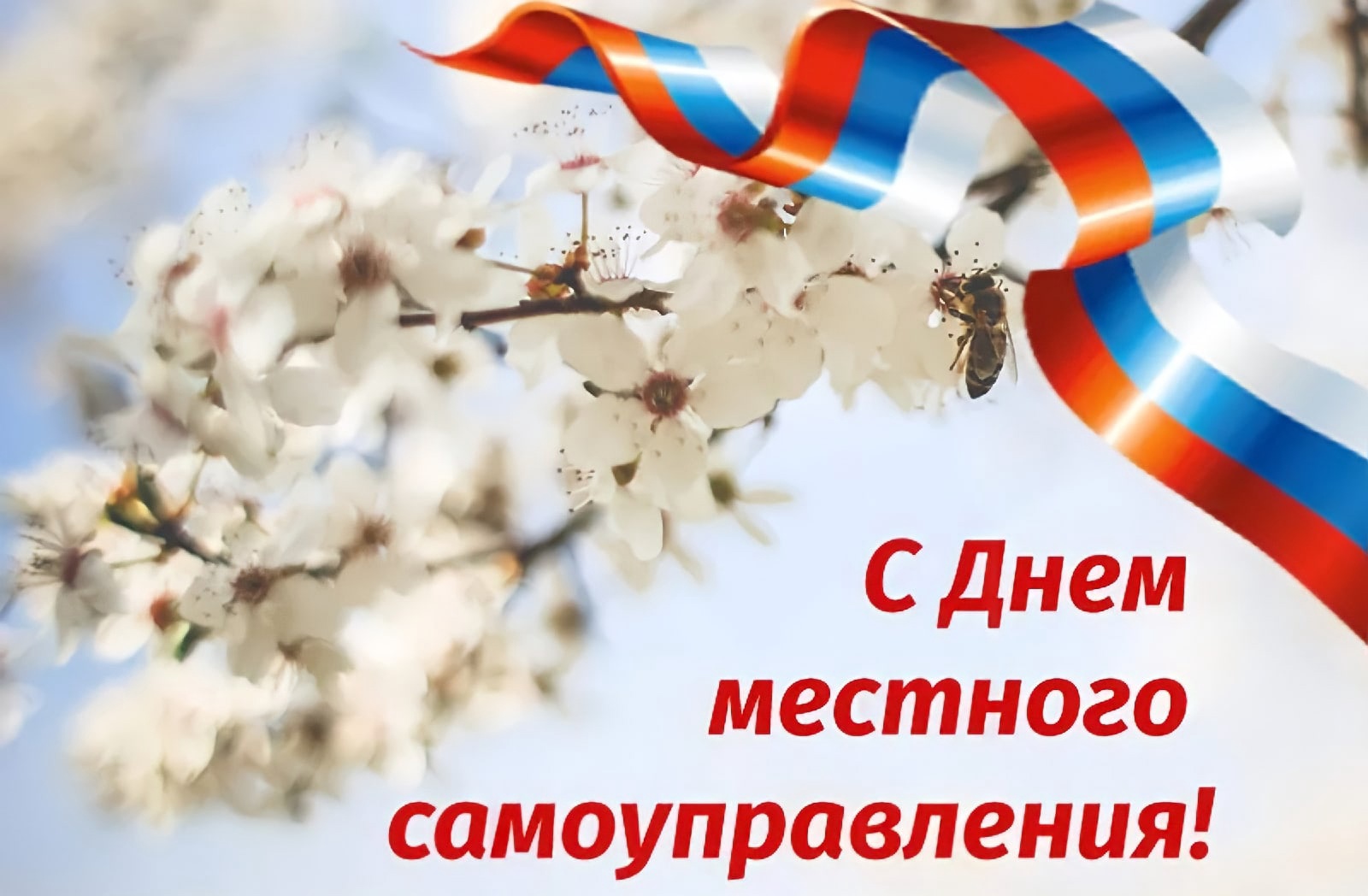 Поздравление с Днем местного самоуправления от главы Афанасьевского муниципального округа Е.М. Белёвой.