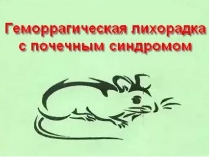Главные правила подготовки дачи к летнему сезону. Профилактика ГЛПС.