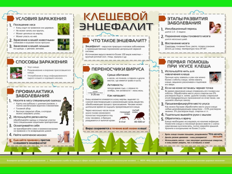 Клещевой энцефалит.